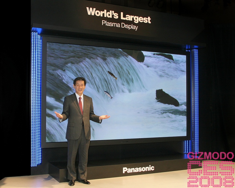 Panasonic 150-Inch Plasma TV