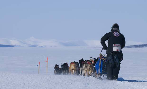 Iditarod 2009