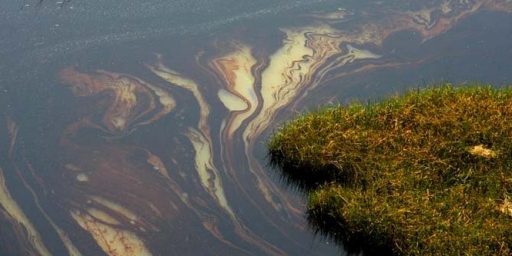 Estimate Of Oil Flow In Gulf Doubled