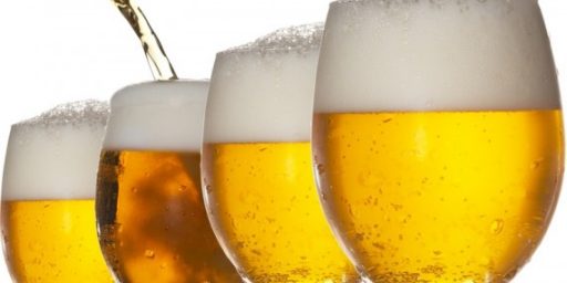 Beer Led To The Rise Of Civilization?