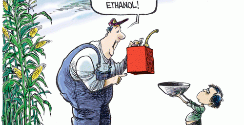 Biofuel vs. Food