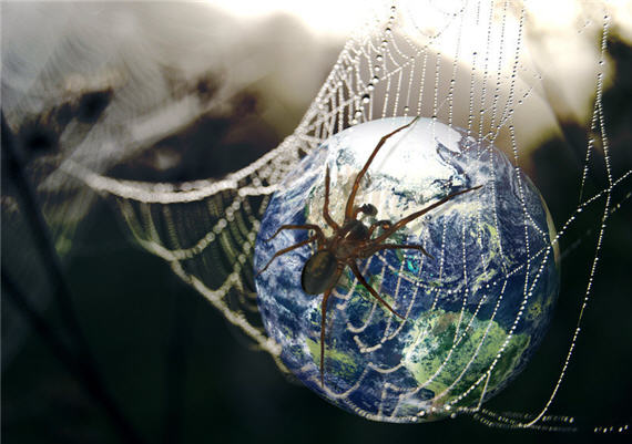 internet-world-wide-web-spider