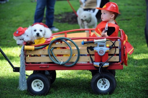 Overall, babies in homes with cats or dogs were about 30 percent less likely to have respiratory infectious symptoms -- which included cough, wheezing, rhinitis (stuffy or runny nose) and fever -- and about half as likely to get ear infections, research shows (AFP Photo/Robyn Beck)