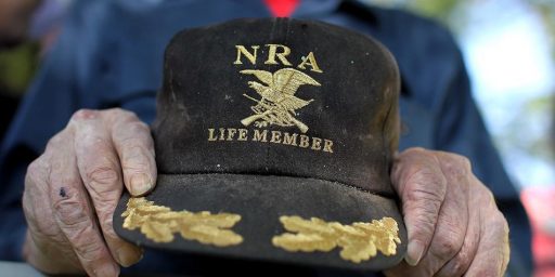 The N.R.A.'s Bizarre Response To The Sandy Hook Shootings