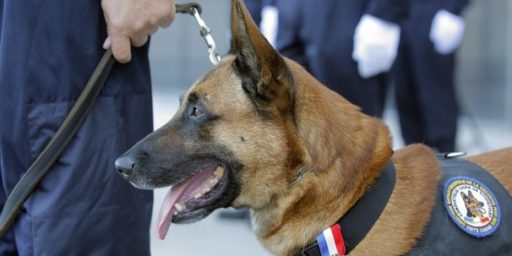 Drug Sniffing Dogs Create Probable Cause Where None Existed Says Supreme Court