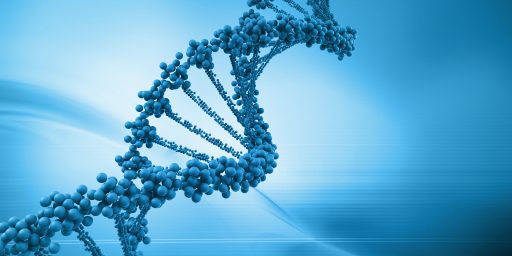 Supreme Court Rules Human Genes Cannot Be Patented