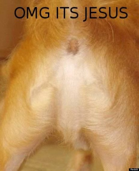 dog-butt-jesus-2