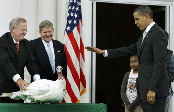 Obama_turkey_pardon