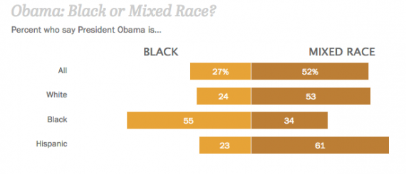 Pew Obama Race