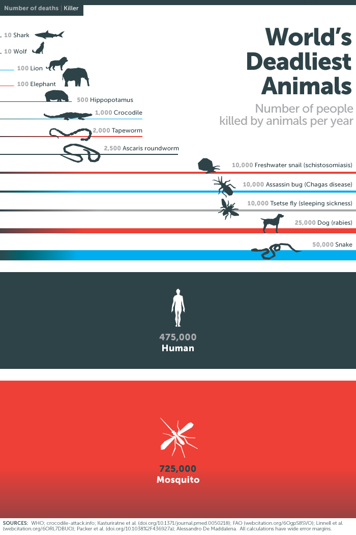world's-deadliest-animals-large