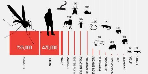 Mosquitoes Kill More People All Other Animals Combined 