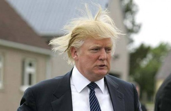 Donald Trump Hair