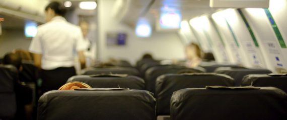 Airline Passenger And Crew Member