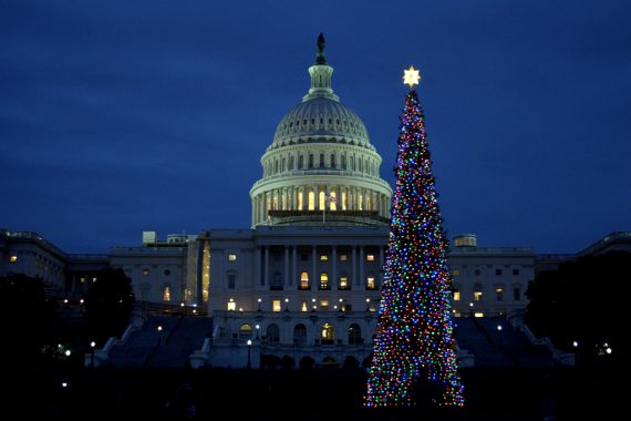 Capitol Building Christmas Tree