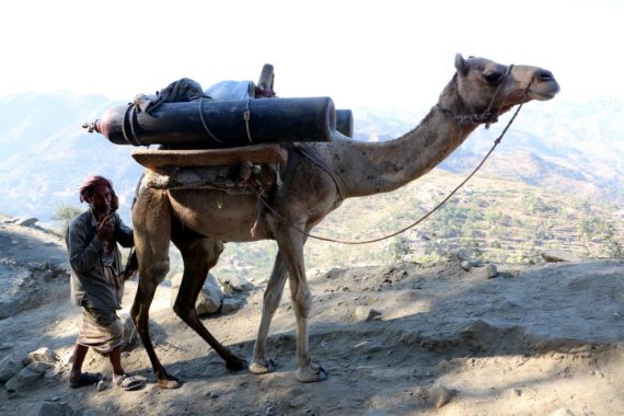 A Yemeni man uses a camel to transport oxygen cylinders on a mountainous road to the war-torn city of Taiz, Yemen, 01 January 2016. Ongoing nine-month conflict in Yemen has pushed the war-torn country to the brink of humanitarian disaster.  (Str/EPA)