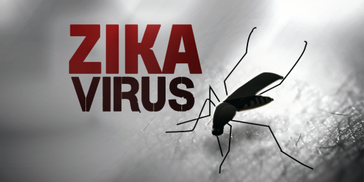 Zika Virus Concerns Lead To Calls To Postpone or Move 2016 Olympics