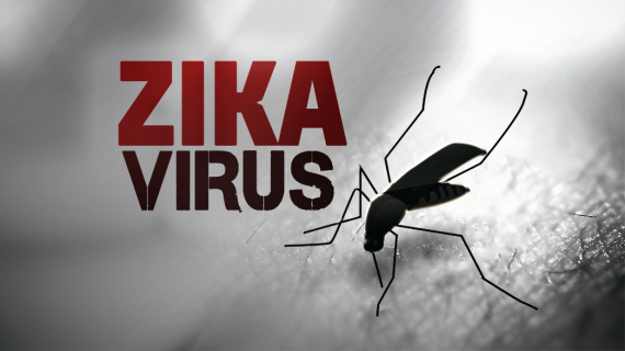 Zika Virus