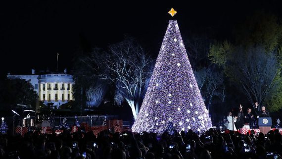 White House Christmas