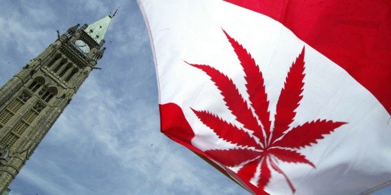 Canadian-Flag-Marijuana-Leaf-570x285