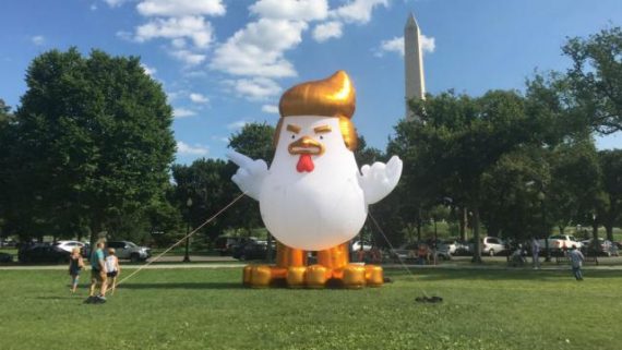 Trump Chicken