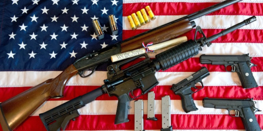 The Annapolis Shooting and the Gun Debate