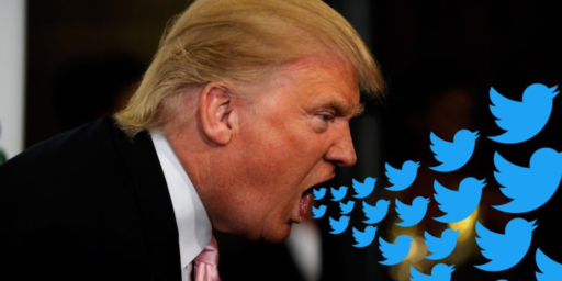 Meet Donald Trump's Latest Far-Right Twitter Muse