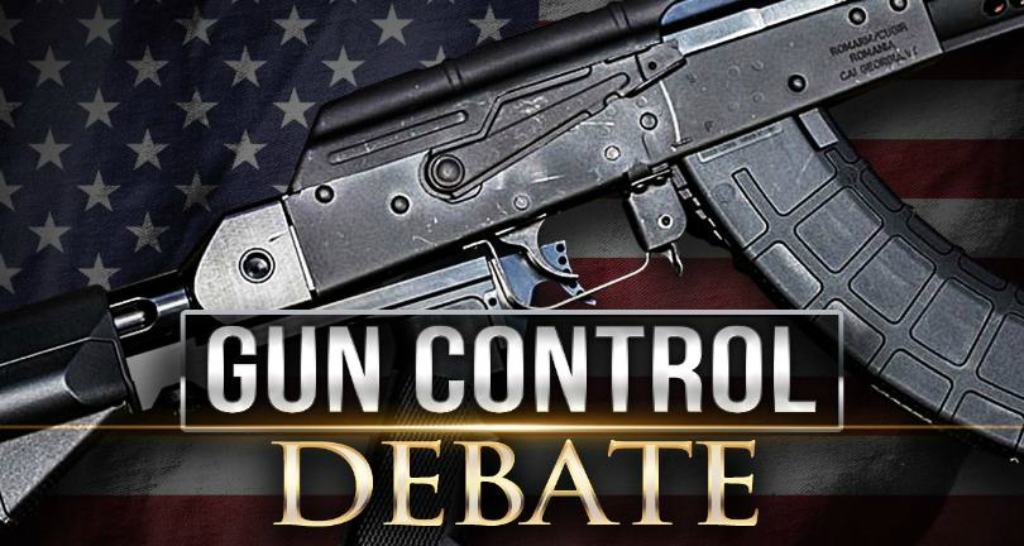 Image result for gun control