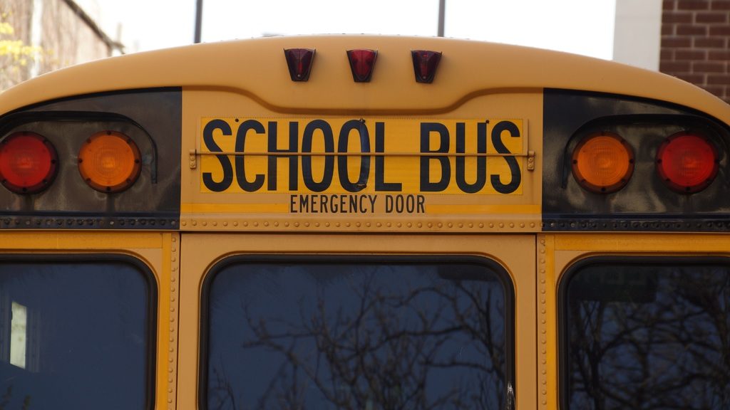 high-resolution photo of car, number, transportation, transport, sign, vehicle, color, usa, yellow, education, bus, back, school, shape, school bus, land vehicle, automotive exterior, vehicle registration plate