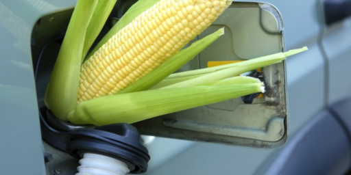 Trump Bows Down To King Corn On Ethanol Subsidies And Mandates