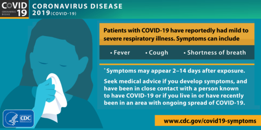 Coronavirus Has Been Politicized to Dangerous Effect