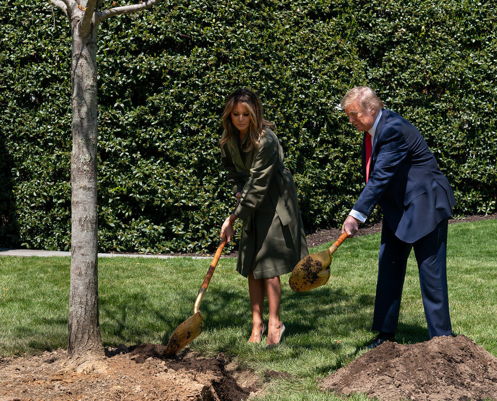 President Donald J. Trump and First Lady Melania Trump participate in a tree planting ceremony in honor of Earth Day and Arbor Day Wednesday, April 22, 2020, on the South Lawn of the White House. (Official White House Photo by Andrea Hanks)