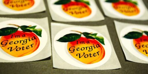Georgia Passes New Election Law