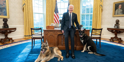 President Joe Biden poses with the Biden family dogs Champ and Major Tuesday, Feb. 9, 2021, in the Oval Office of the White House.