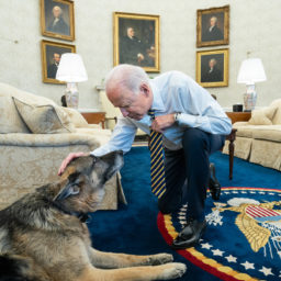 President Joe Biden pets the Biden family dog Champ in the Oval Office of the White House Wednesday, Feb. 24, 2021, prior to a bipartisan meeting with House and Senate members to discuss supply chains.
