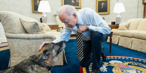 President Joe Biden pets the Biden family dog Champ in the Oval Office of the White House Wednesday, Feb. 24, 2021, prior to a bipartisan meeting with House and Senate members to discuss supply chains.