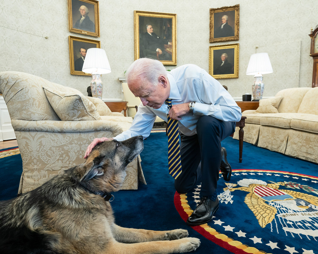 President Joe Biden pets the Biden family dog Champ in the Oval Office of the White House Wednesday, Feb. 24, 2021, prior to a bipartisan meeting with House and Senate members to discuss supply chains.