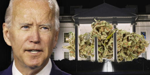 Biden Staffers Fired for Marijuana Use?