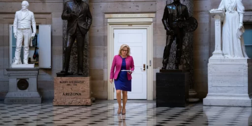 Liz Cheney Walloped in Primary
