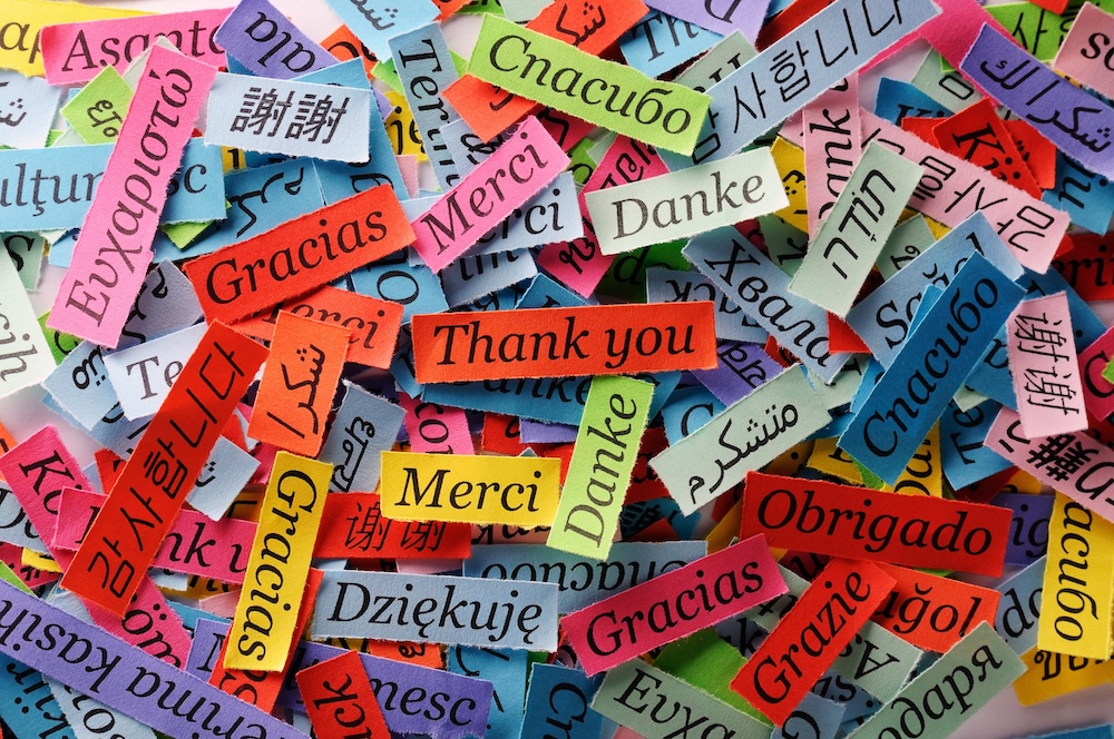 world languages thank you